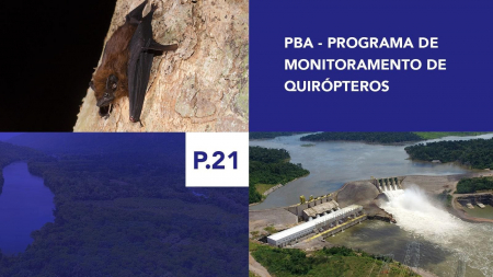 P.21 - Programa de Monitoramento de Quirópteros