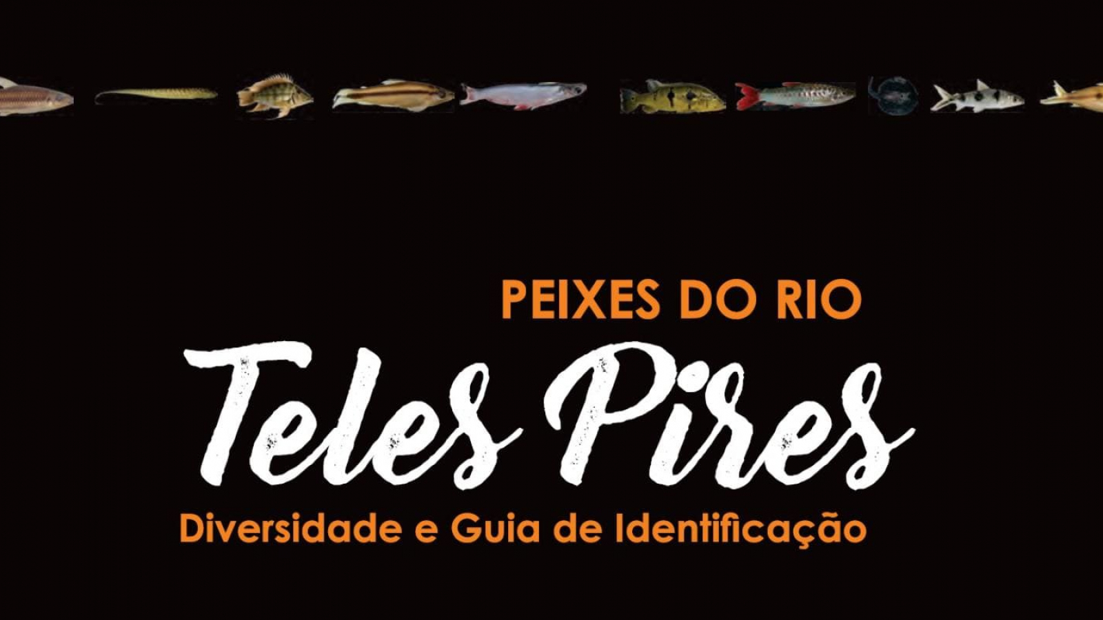 Peixes do Rio Teles Pires - Diversidade e Guia de Identificação