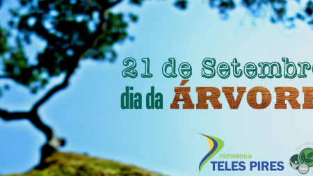 CHTP e o dia da Árvore CHTP e o dia da Árvore