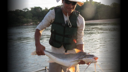 Estudos realizados durante a instalação da UHE Teles Pires ampliam o conhecimento dos peixes na bacia do rio Teles Pires Estudos realizados durante a instalação da UHE Teles Pires ampliam o conhecimento dos peixes na bacia do rio Teles Pires