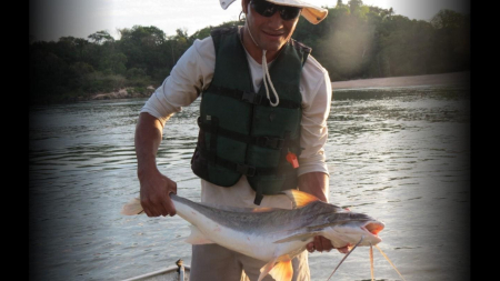 Estudos realizados durante a instalação da UHE Teles Pires ampliam o conhecimento dos peixes na bacia do rio Teles Pires