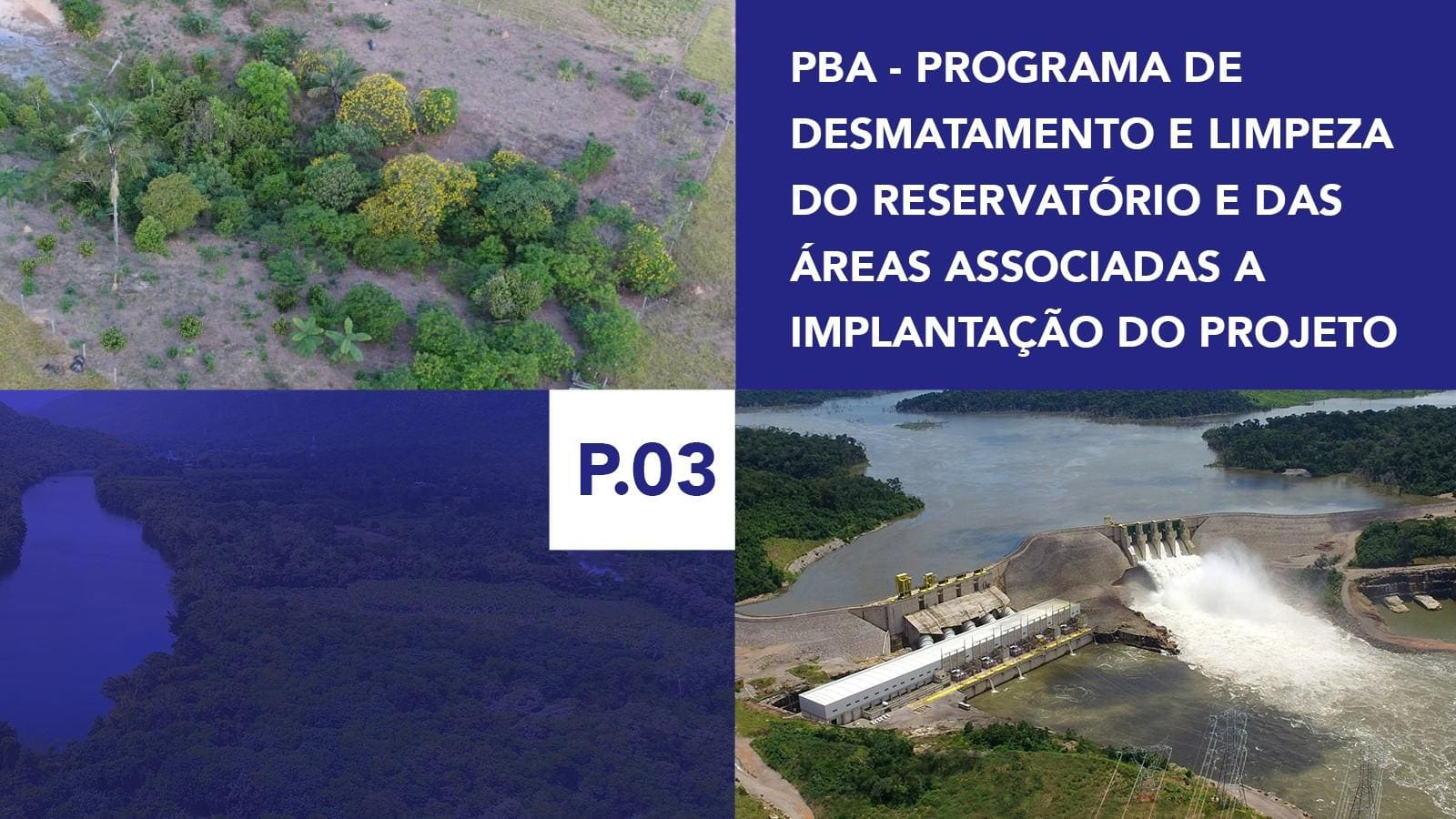 P.03 - Programa de Desmatamento e Limpeza do Reservatório e das Áreas Associadas a Implantação do Projeto