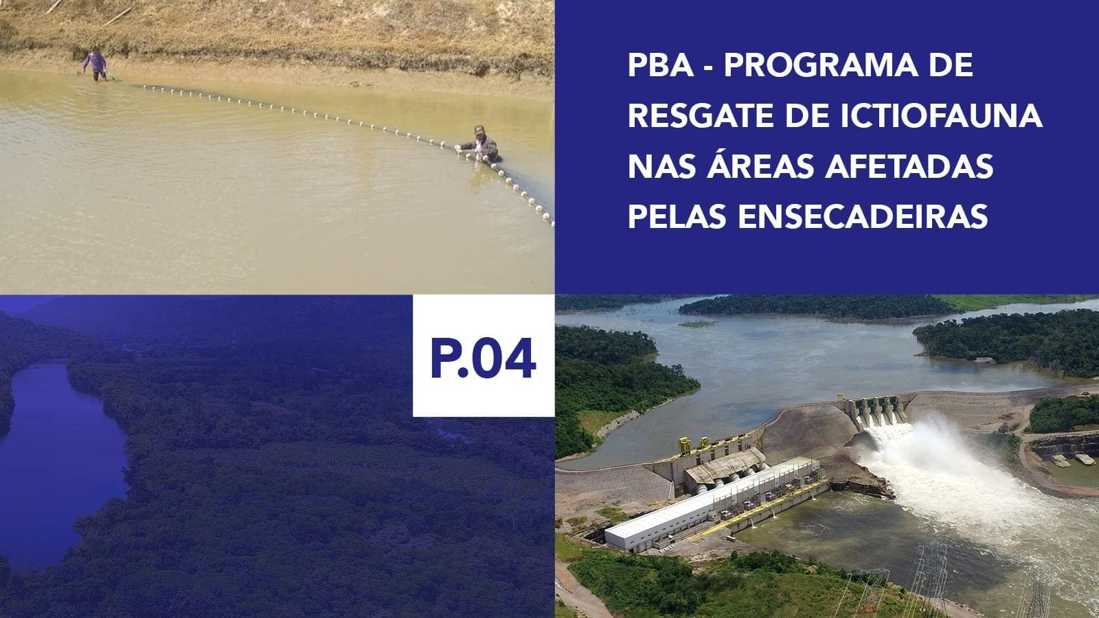 P.04 - Programa de Resgate de Ictiofauna nas Áreas afetadas pelas Ensecadeiras