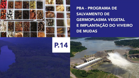 P.14 - Programa de Salvamento de Germoplasma Vegetal e Implantação do Viveiro de Mudas P.14 - Programa de Salvamento de Germoplasma Vegetal e Implantação do Viveiro de Mudas