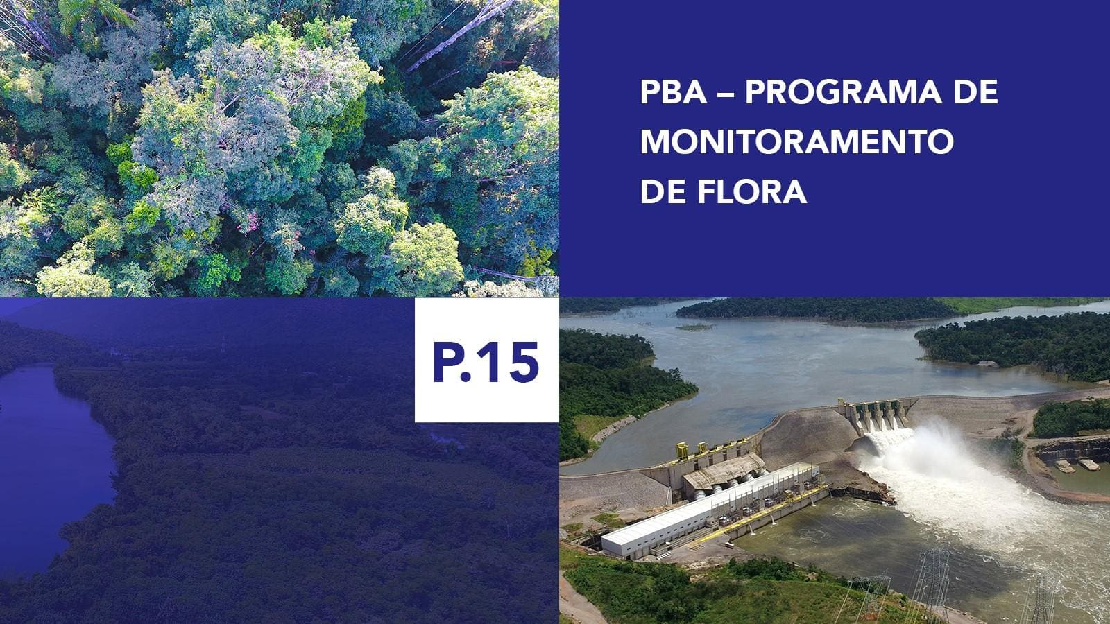 P.15 - Programa de Monitoramento de Flora P.15 - Programa de Monitoramento de Flora
