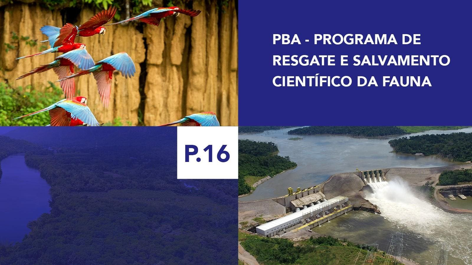 P.16 - Programa de Resgate e Salvamento Científico da Fauna P.16 - Programa de Resgate e Salvamento Científico da Fauna