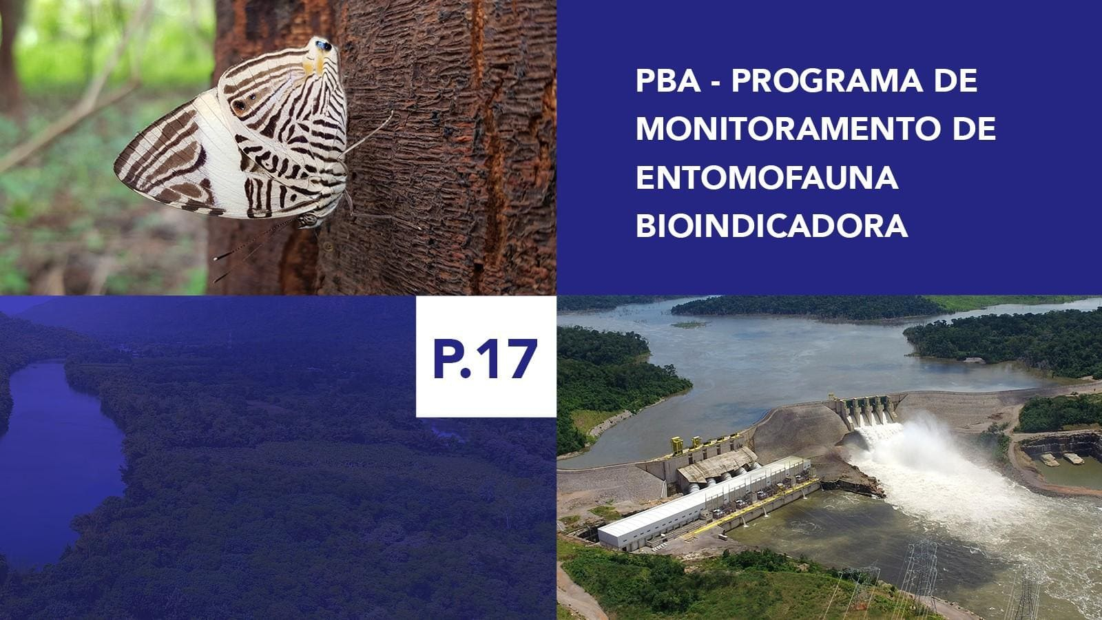 P.17 - Programa de Monitoramento de Entomofauna Bioindicadora