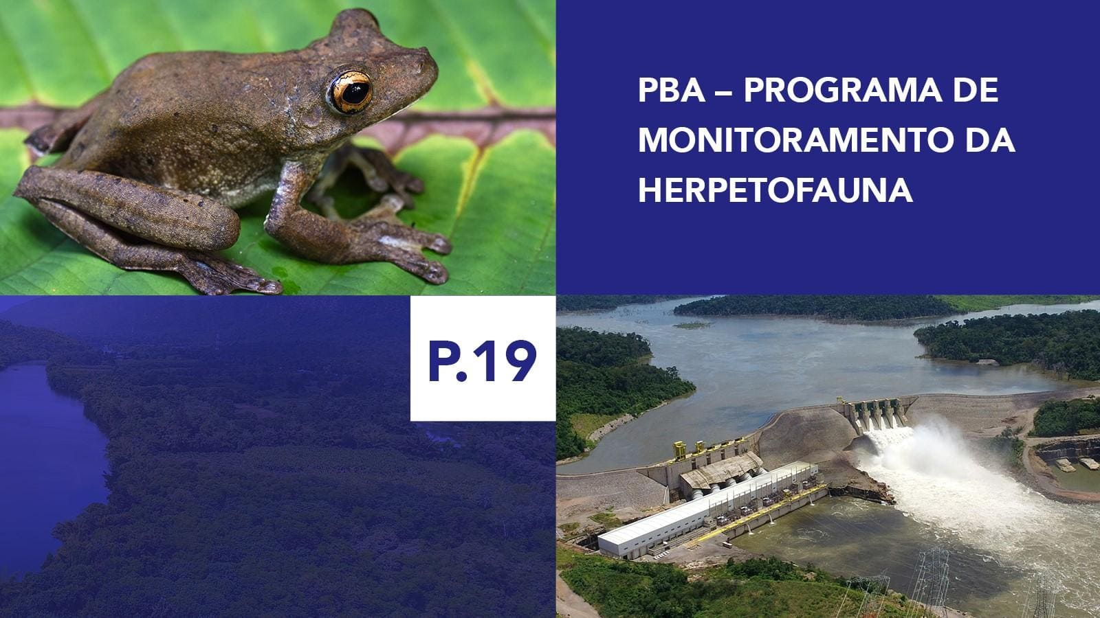 P.19 - Programa de Monitoramento da Herpetofauna