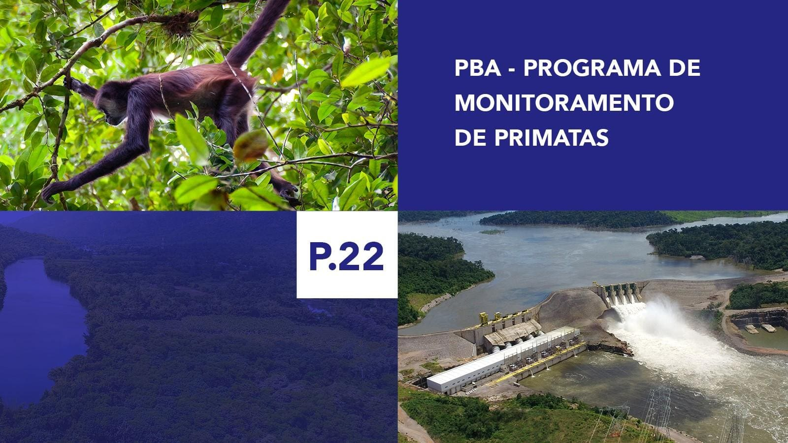 P.22 - Programa de Monitoramento de Primatas