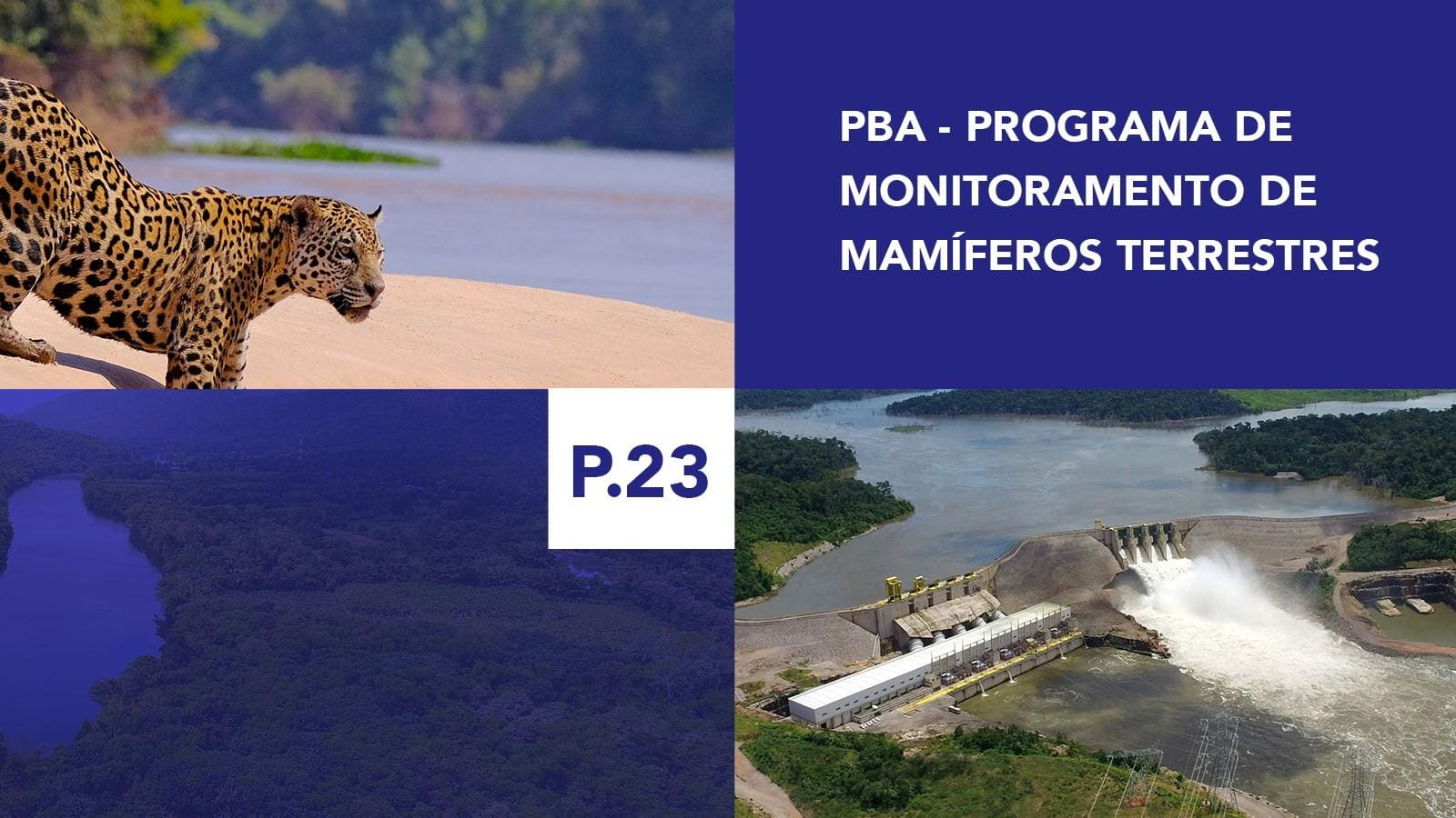 P.23 - Programa de Monitoramento de Mamíferos Terrestres
