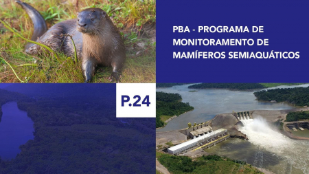 P.24 - Programa de Monitoramento de Mamíferos Semi-Aquáticos P.24 - Programa de Monitoramento de Mamíferos Semi-Aquáticos