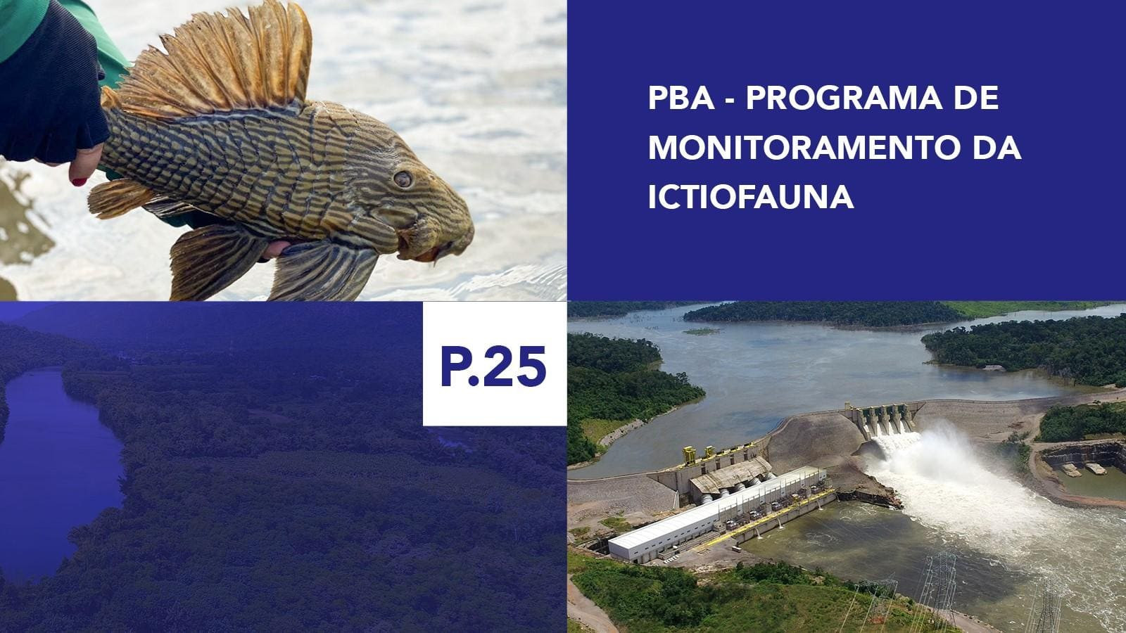 P.25 - Programa de Monitoramento da Ictiofauna