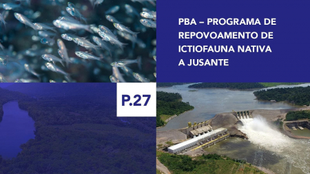 P.27 - Programa de Repovoamento de Ictiofauna Nativa a Jusante P.27 - Programa de Repovoamento de Ictiofauna Nativa a Jusante