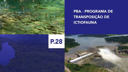 P.28 - Programa de Transposição de Ictiofauna P.28 - Programa de Transposição de Ictiofauna