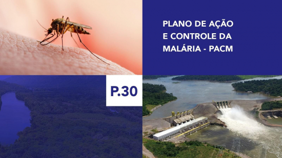 P.30 - Plano de Ação e Controle da Malária - PACM