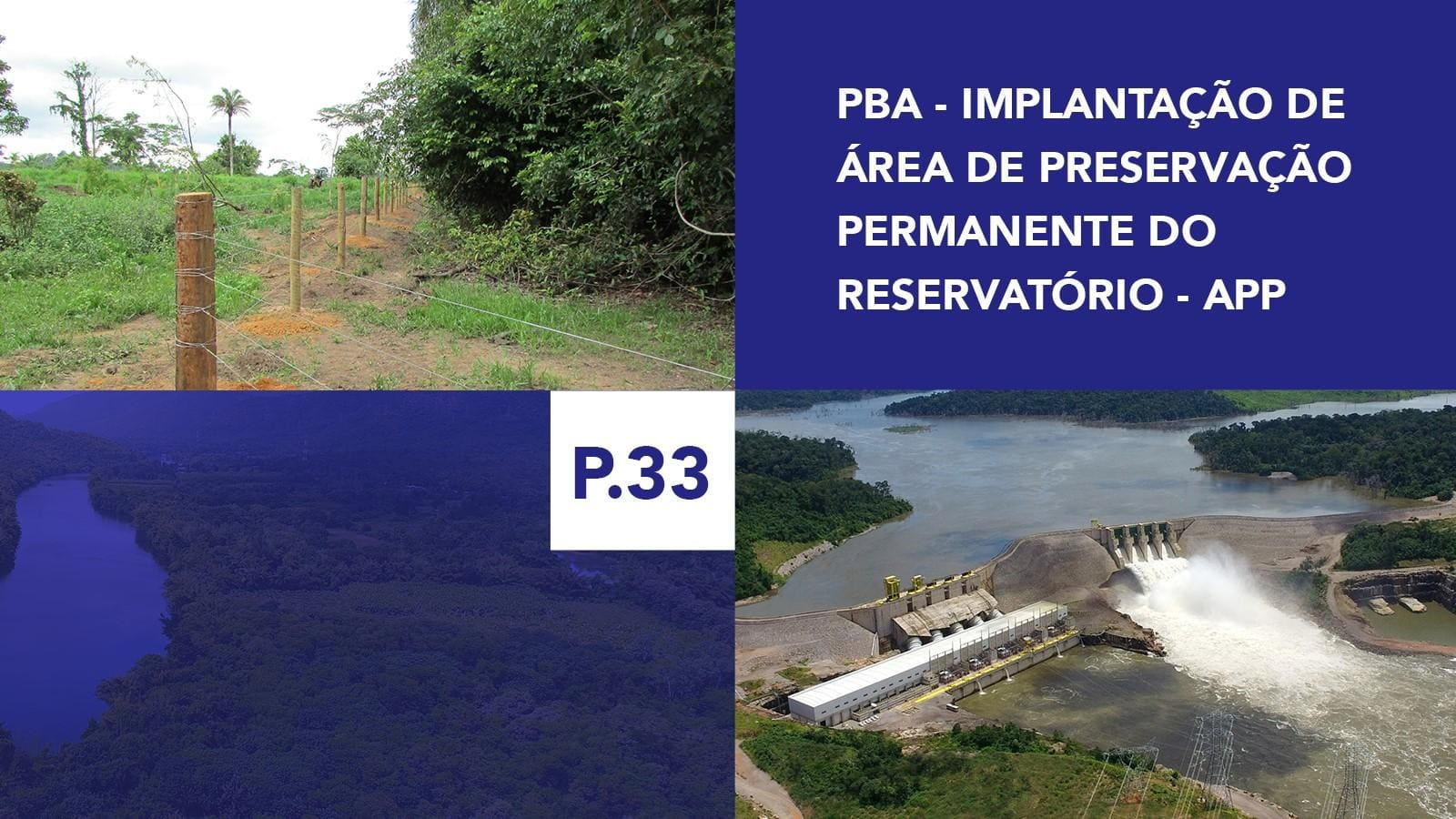 P.33 - Implantação de Área de Preservação Permanente do Reservatório - APP