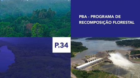P.34 - Programa de Recomposição Florestal P.34 - Programa de Recomposição Florestal