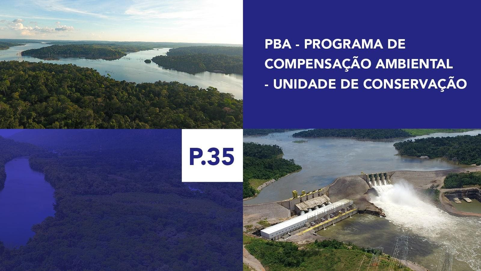 P.35 - Programa de Compensação Ambiental - Unidade de Conservação