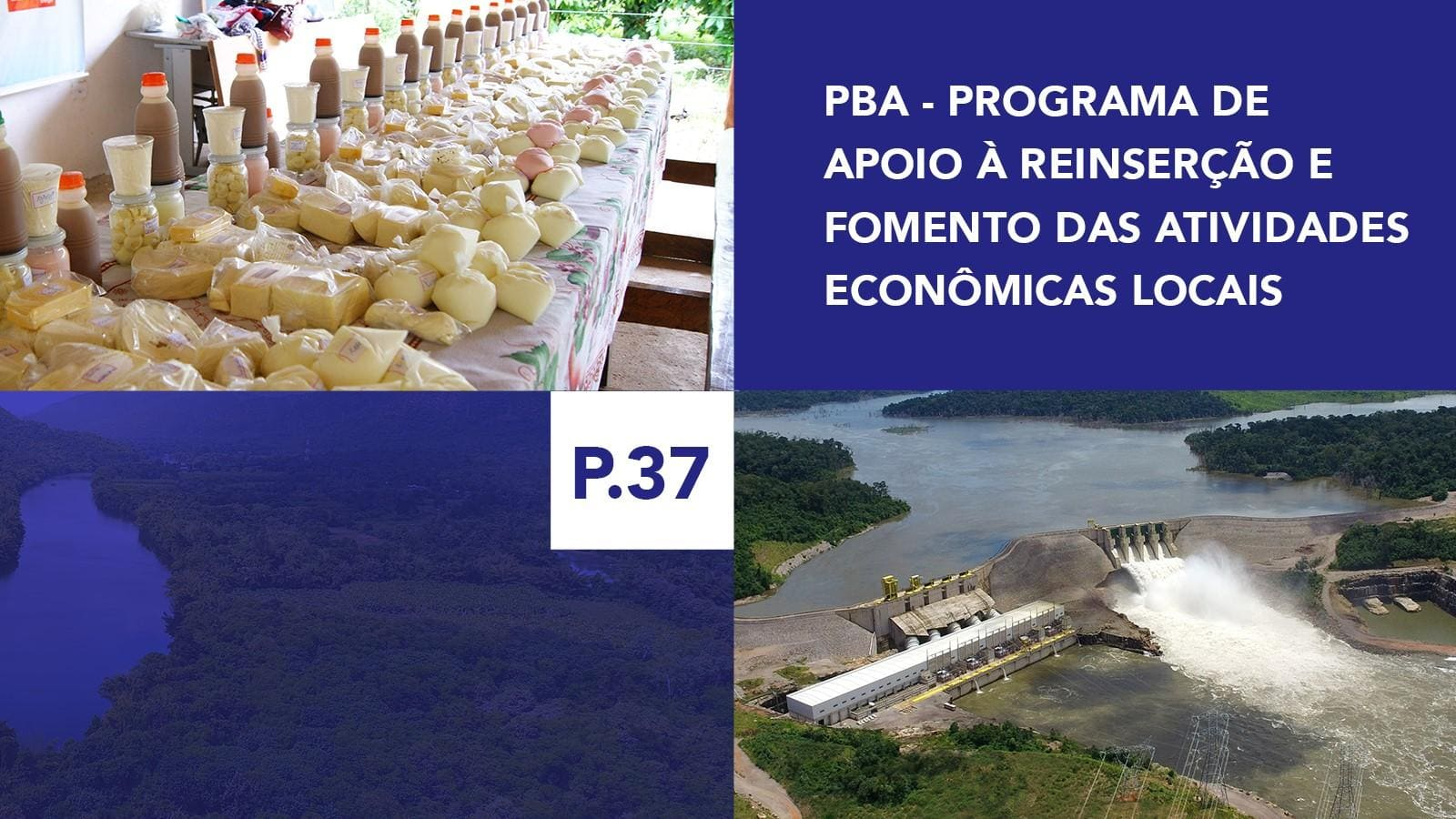 P.37 - Programa de Apoio à Reinserção e Fomento das Atividades Econômicas Locais