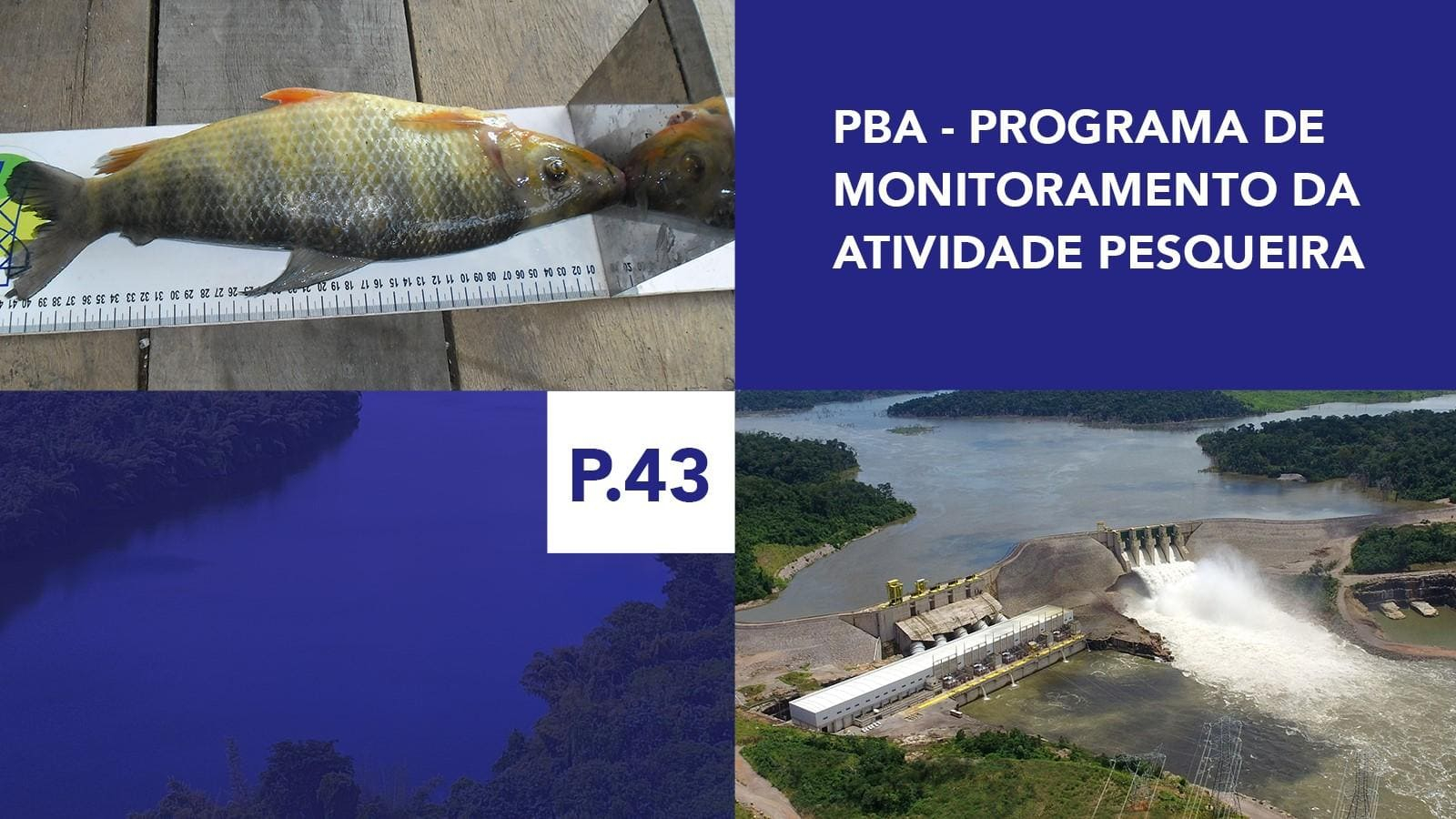 P.43 - Programa de Monitoramento da Atividade Pesqueira