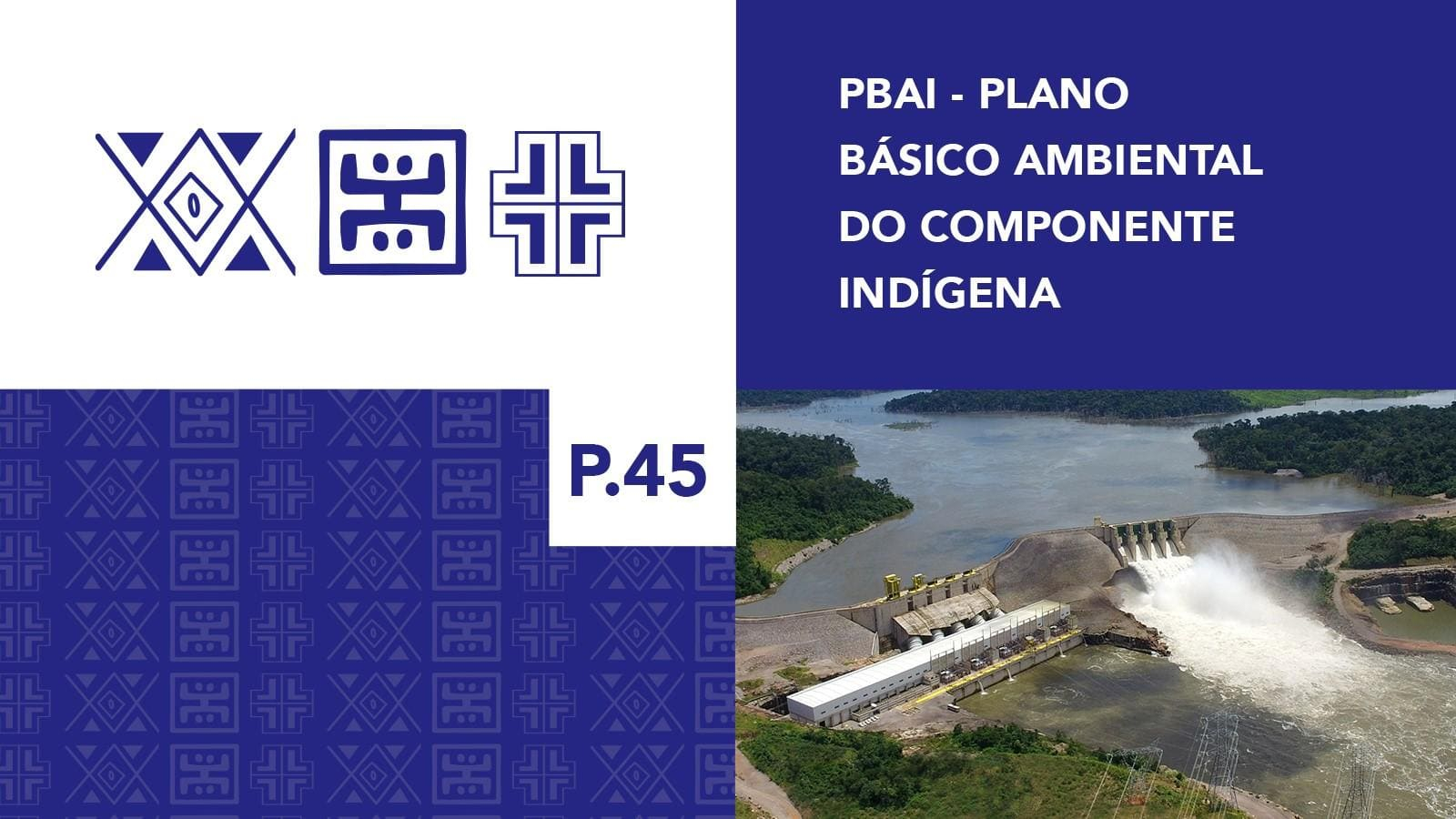 P.45 - Plano Básico Ambiental - Componente Indígena Apiaká