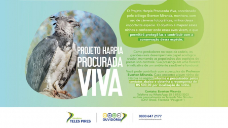 Projeto Harpia Procurada Viva Projeto Harpia Procurada Viva