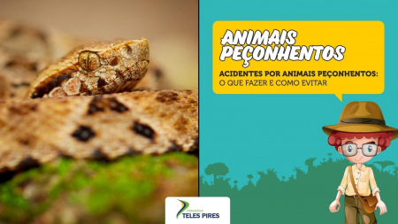 Cartilha Animais Peçonhentos Cartilha Animais Peçonhentos